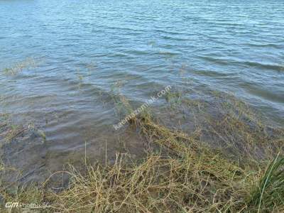 Tekirdağ Şarköy İstiklal Mahallesi Satılık Tarla 4