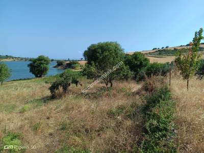 Tekirdağ Şarköy İstiklal Mahallesi Satılık Tarla 7