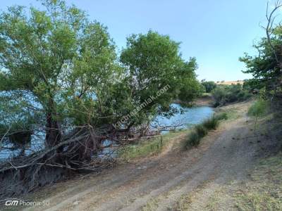 Tekirdağ Şarköy İstiklal Mahallesi Satılık Tarla 18