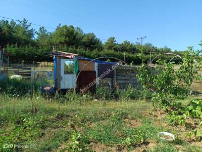 Tekirdağ Şarköy İstiklal Mahallesi Satılık Tarla 8