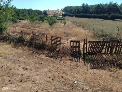 Tekirdağ Şarköy İstiklal Mahallesi Satılık Tarla 2