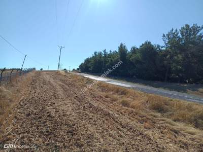 Tekirdağ Şarköy İstiklal Mahallesi Satılık Tarla 27