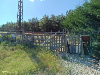 Tekirdağ Şarköy İstiklal Mahallesi Satılık Tarla 6