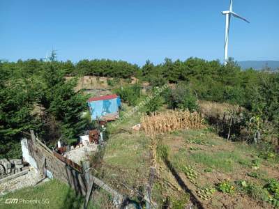 Tekirdağ Şarköy İstiklal Mahallesi Satılık Tarla 24