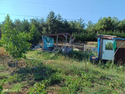 Tekirdağ Şarköy İstiklal Mahallesi Satılık Tarla 13