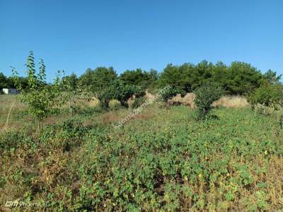 Tekirdağ Şarköy İstiklal Mahallesi Satılık Tarla 16