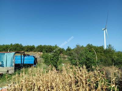 Tekirdağ Şarköy İstiklal Mahallesi Satılık Tarla 3