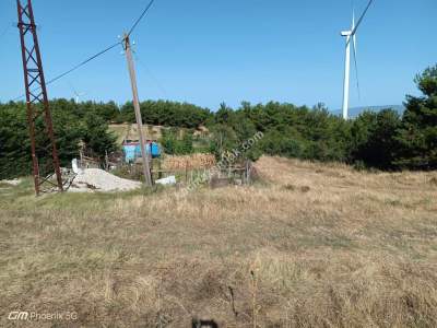 Tekirdağ Şarköy İstiklal Mahallesi Satılık Tarla 1