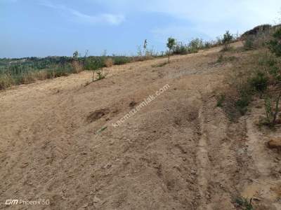 Tekirdağ Şarköy Kirazlı Mahallesi Satılık Tarla Bahçe 5