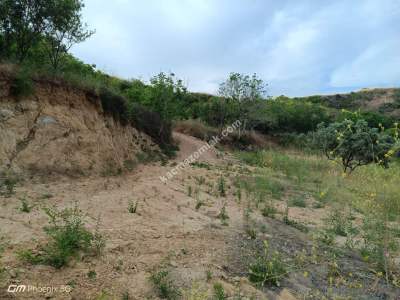 Tekirdağ Şarköy Kirazlı Mahallesi Satılık Tarla Bahçe 14