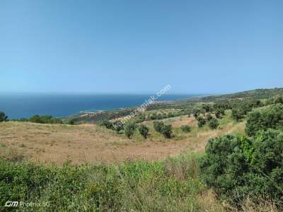 Tekirdağ Şarköy Kirazlı Mahallesi Satılık Tarla 10