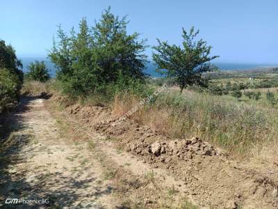 Tekirdağ Şarköy Kirazlı Mahallesi Satılık Tarla 8