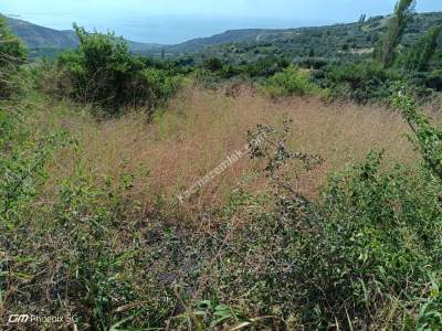 Tekirdağ Şarköy Kirazlı Mahallesi Satılık Tarla 5