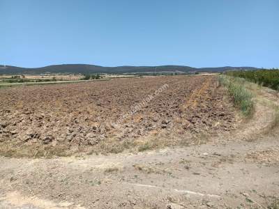 Tekirdağ Şarköy Kızılcaterzi Mahallesi Satılık Tarla 3