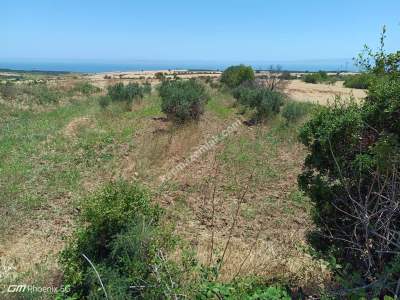 Tekirdağ Şarköy Kızılcaterzi Mahallesi Satılık Tarla 4