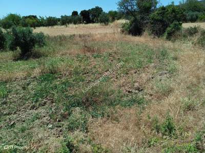 Tekirdağ Şarköy Kızılcaterzi Mahallesi Satılık Tarla 2