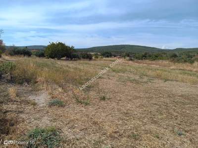 Tekirdağ Şarköy Kızılcaterzi Mahallesi Satılık Tarla 5