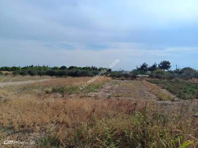 Tekirdağ Şarköy Kızılcaterzi Mahallesi Satılık Tarla 4