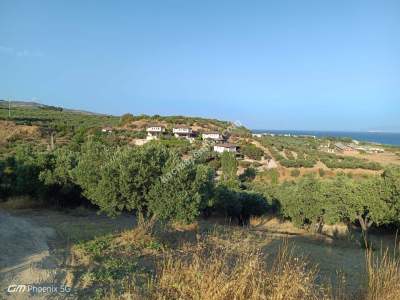 Tekirdağ Şarköy Mürefte Mahallesi Satılık İmara Sıfır 7