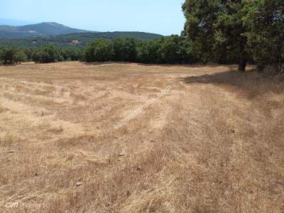 Tekirdağ Şarköy Mursallı Mahallesi Satılık Tarla 4