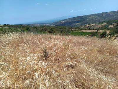 Tekirdağ Şarköy Murasallı Mahallesi Satılık Tarla 5