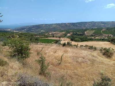 Tekirdağ Şarköy Murasallı Mahallesi Satılık Tarla 10