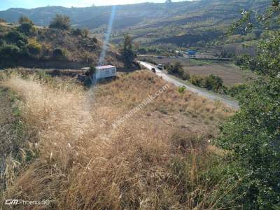 Tekirdağ Şarköy Mursallı Mahallesi Satılık Hobi Bahçesi 8