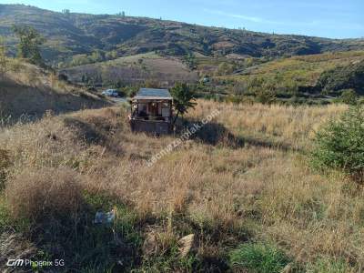 Tekirdağ Şarköy Mursallı Mahallesi Satılık Hobi Bahçesi 11