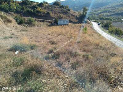 Tekirdağ Şarköy Mursallı Mahallesi Satılık Hobi Bahçesi 6