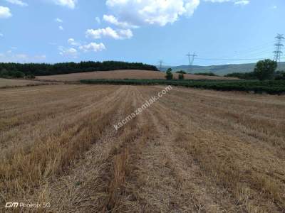 Tekirdağ Şarköy Sofuköy Mahallesi Satılık Tarla 9