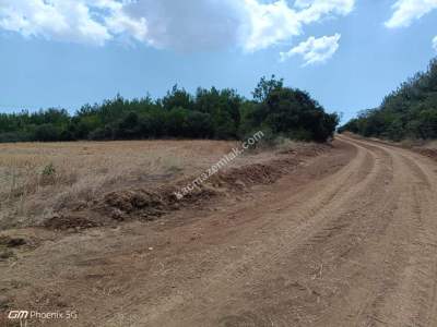 Tekirdağ Şarköy Sofuköy Mahallesi Satılık Tarla 5