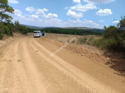 Tekirdağ Şarköy Sofuköy Mahallesi Satılık Tarla 2