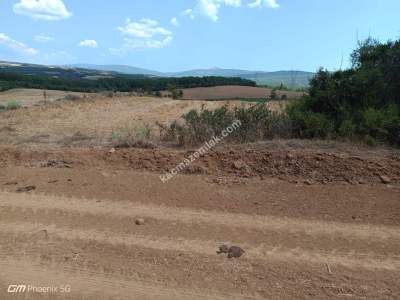 Tekirdağ Şarköy Sofuköy Mahallesi Satılık Tarla 1