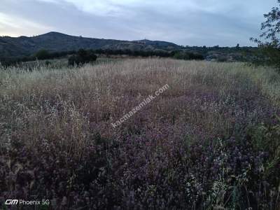 Tekirdağ Şarköy Tepeköy Mahallesi Satılık Tarla 5