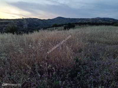 Tekirdağ Şarköy Tepeköy Mahallesi Satılık Tarla 6