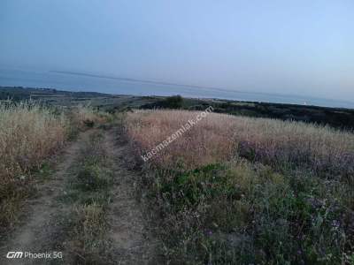 Tekirdağ Şarköy Tepeköy Mahallesi Satılık Tarla 8