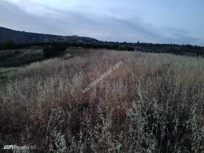 Tekirdağ Şarköy Tepeköy Mahallesi Satılık Tarla 4