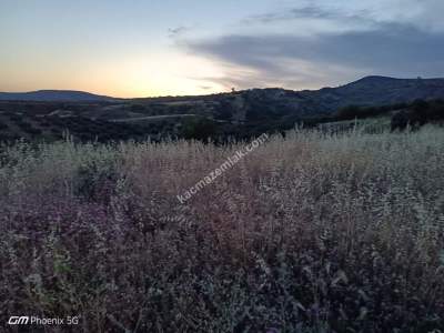 Tekirdağ Şarköy Tepeköy Mahallesi Satılık Tarla 3