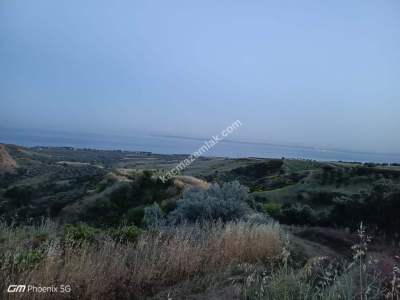 Tekirdağ Şarköy Tepeköy Mahallesi Satılık Tarla 2