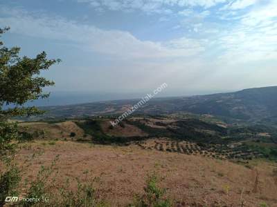 Tekirdağ Şarköy Tepeköy Mahallesi Satılık Tarla 14