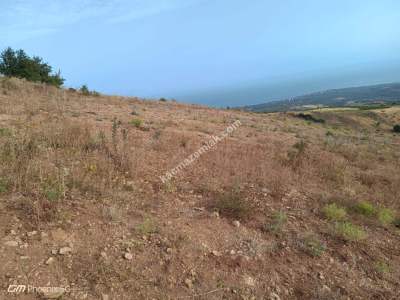 Tekirdağ Şarköy Tepeköy Mahallesi Satılık Tarla 11