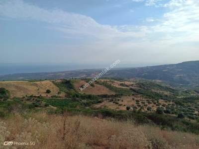 Tekirdağ Şarköy Tepeköy Mahallesi Satılık Tarla 4