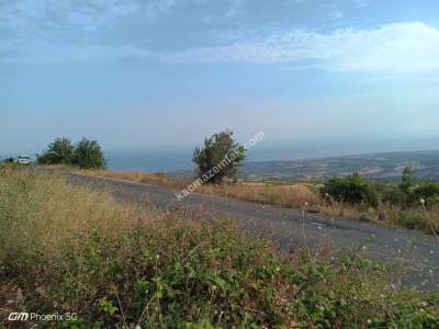 Tekirdağ Şarköy Tepeköy Mahallesi Satılık Tarla 7