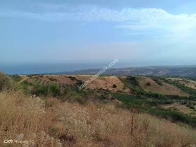 Tekirdağ Şarköy Tepeköy Mahallesi Satılık Tarla 5