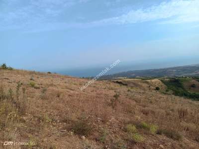 Tekirdağ Şarköy Tepeköy Mahallesi Satılık Tarla 9