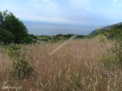 Tekirdağ Şarköy Uçmakderede Satılık Arazi Tarla 9