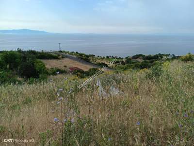 Tekirdağ Şarköy Uçmakderede Satılık Arazi Tarla 10