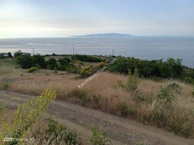 Tekirdağ Şarköy Uçmakderede Satılık Arazi Tarla 4