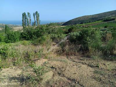 Tekirdağ Şarköy Yayaköy Mahallesi Satılık Tarla 8