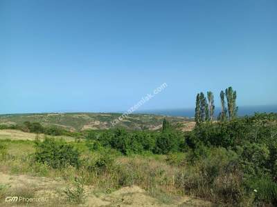 Tekirdağ Şarköy Yayaköy Mahallesi Satılık Tarla 7